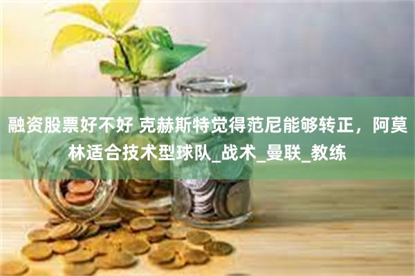 融资股票好不好 克赫斯特觉得范尼能够转正，阿莫林适合技术型球队_战术_曼联_教练