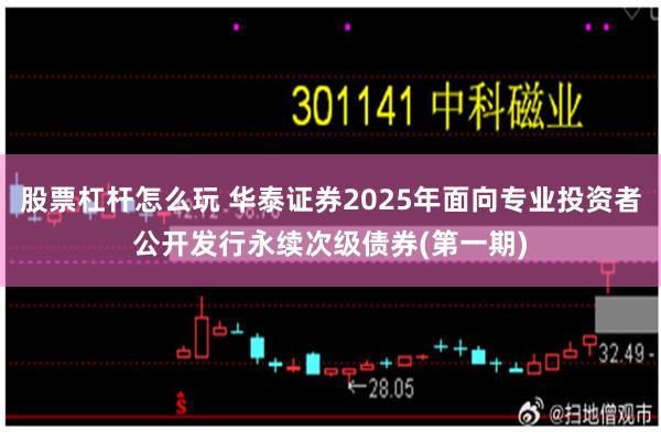 股票杠杆怎么玩 华泰证券2025年面向专业投资者公开发行永续次级债券(第一期)