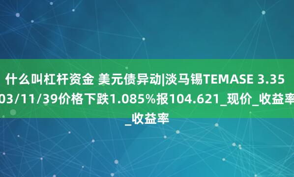 什么叫杠杆资金 美元债异动|淡马锡TEMASE 3.35 03/11/39价格下跌1.085%报104.621_现价_收益率