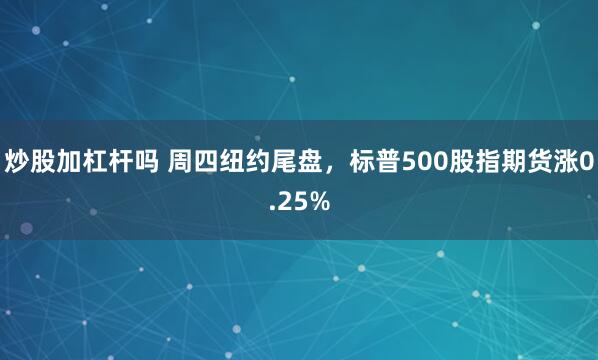 炒股加杠杆吗 周四纽约尾盘，标普500股指期货涨0.25%