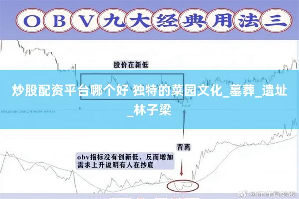 炒股配资平台哪个好 独特的菜园文化_墓葬_遗址_林子梁