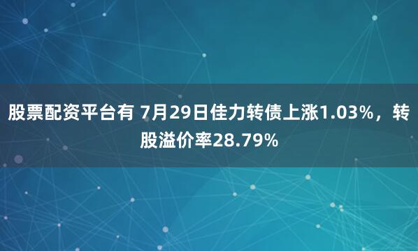 股票配资平台有 7月29日佳力转债上涨1.03%，转股溢价率28.79%