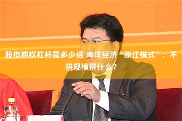 股指期权杠杆是多少倍 海洋经济“浙江模式”：不拼规模拼什么？