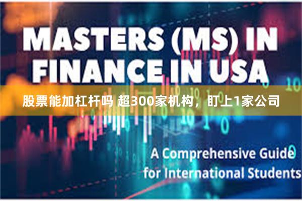 股票能加杠杆吗 超300家机构，盯上1家公司