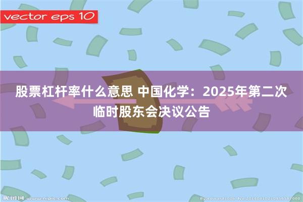 股票杠杆率什么意思 中国化学：2025年第二次临时股东会决议公告